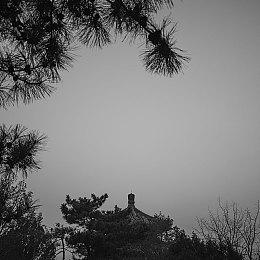 《给他爱5增强版》成Steam上用户评价最差的GTA游戏